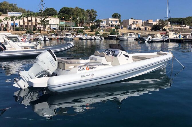 Tour to San Vito lo Capo Zingaro reserve and Castellammare - Group size, timing, and how to plan your day