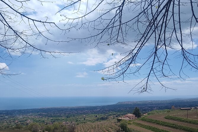 Tour two wineries of Etna wine tasting and lunch - Winery stop two with lunch: Sicilian food pairing and sommelier guidance