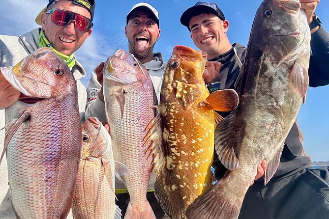 Tour with medium seabed or rod fishing. - Sea caves and animal-shaped rocks: where the day turns adventurous