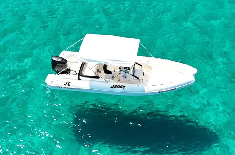Trapani: favignana and levanzo boat tour - Favignana’s Swim Stops and Cave Circuit: What You’ll See