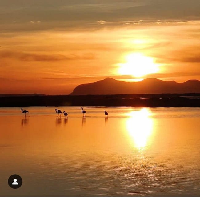Trapani: Salt Pans Sunset Tour and Flamingo Way - Quick takeaways