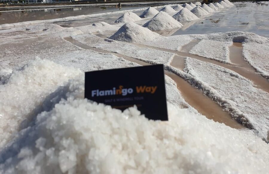Trapani: Salt Pans Sunset Tour and Flamingo Way - Price and value: why $34 for 2 hours can make sense