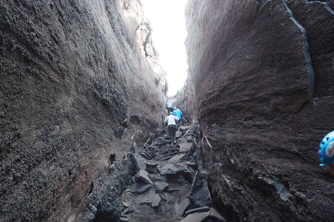 Trekking 3000 from Etna Sud with Alpine Guide - Price and logistics: what your €60 ticket really buys
