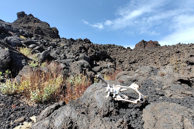 Trekking to Bottoniera Craters - Stop Focus: The “Most Significant Craters of the Last 100 Years”