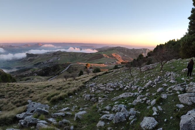 Truffle hunting in the Sicani mountains: a unique experience in Sicily - Who This Suits Best (and Who Might Hesitate)