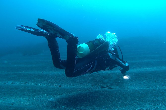 Try Scuba Dive (baptism of the sea) - Aci Castello Meeting Point: Easy Waterfront Access by the Castle