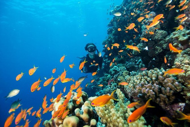 Try Scuba Dive (baptism of the sea) - Facilities at JALA ASD: Showers, Changing Rooms, and a Real Place to Reset
