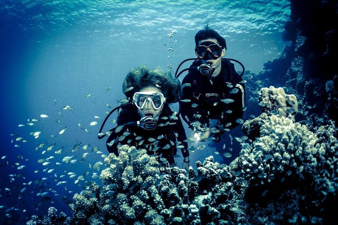 Try Scuba Dive (baptism of the sea) - Corrado’s Coaching Style: Confidence for First-Timers Who Worry