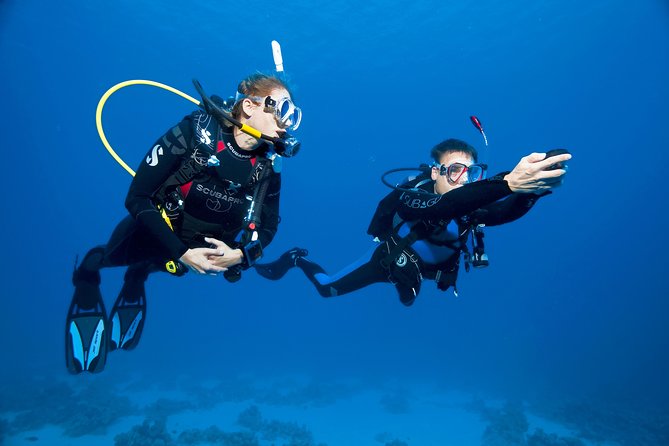 Try Scuba Dive (baptism of the sea) - The 2 Hours 30 Minutes Schedule: What Fits in That Morning Window
