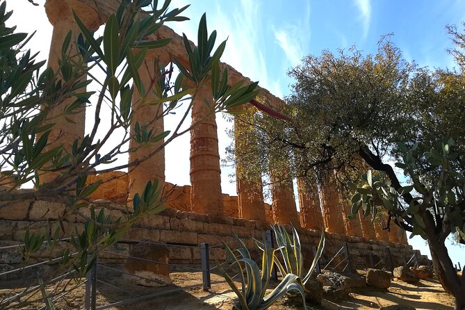 VALLEY OF THE TEMPLES (Agrigento) private tour - Valle dei Templi, the practical way: what this 2-hour private tour really gives you