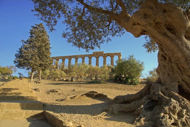 Valley of the Temples and Villa Romana del Casale Day Trip from Taormina - Price and value: what $84.10 really buys you