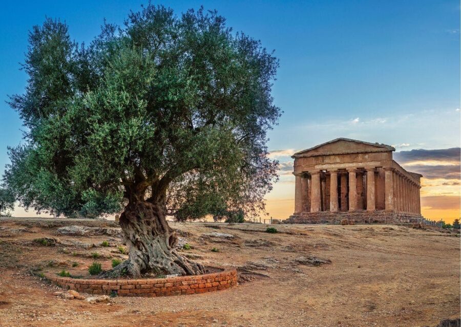 Valley of the Temples and Villa Romana Multi-Language Tour - Should You Book This Tour?
