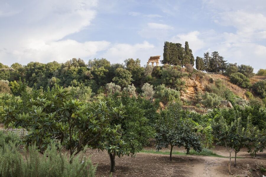 Valley of the Temples: Kolymbethra Garden Entry Ticket - Key highlights to look for