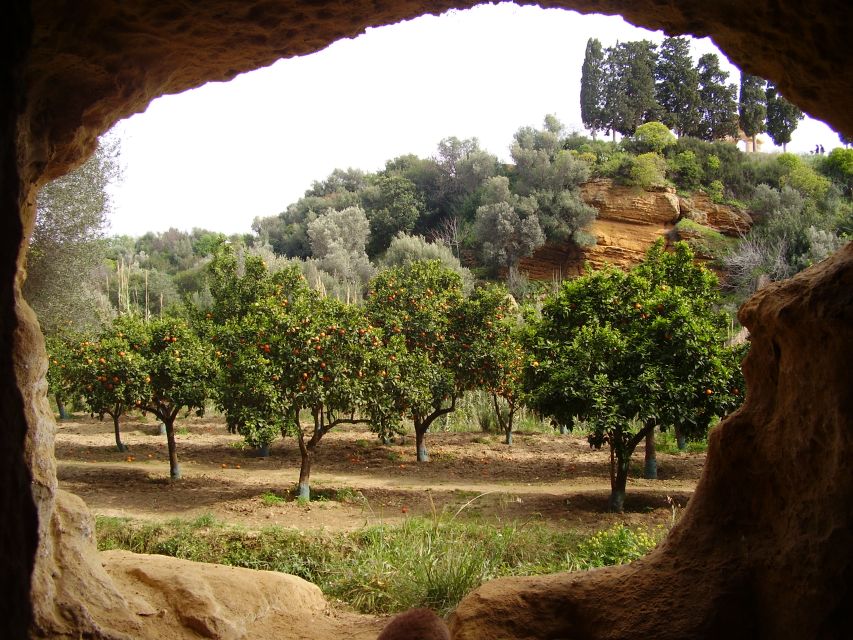 Valley of the Temples: Kolymbethra Garden Entry Ticket - A sensory walk among olives and citrus (what you’ll notice first)