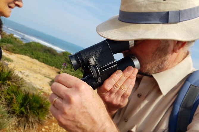 Vendicari - Sicily's best coast nature reserve ( Birdwatching & Archeology ) - Tuna Museum and Ancient Fishing Industry: A 2,000-Year Coast