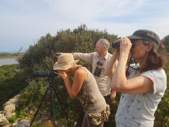 Vendicari - Sicily's best coast nature reserve ( Birdwatching & Archeology ) - Tuna, Birds, and Beach Time: The Best Way to Pace Yourself