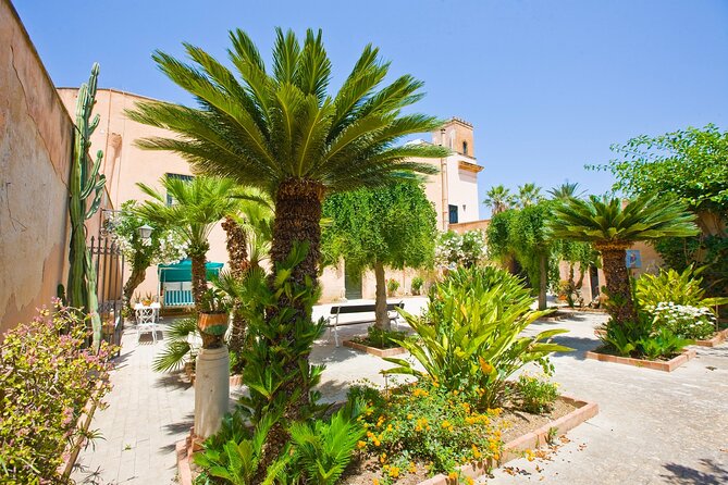 Visit and Private Tasting of EVO Oil and Organic Wine - Price and value: $36.09 for education in the countryside