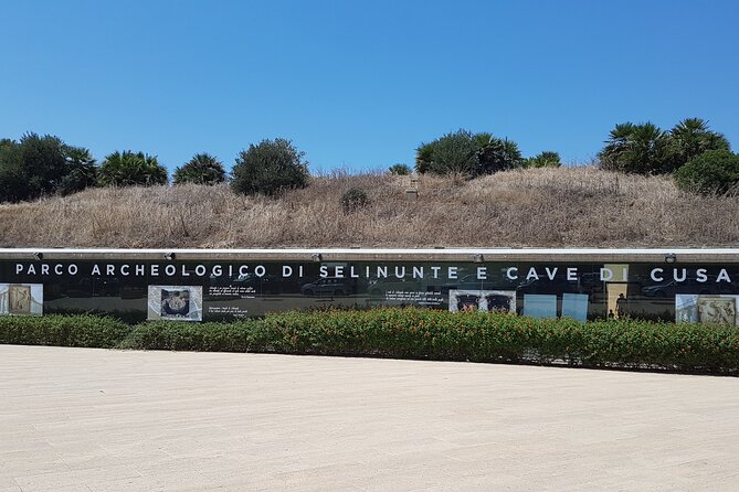 Visit Segesta and Selinunte from Trapani - The Ride: Air-Conditioned Minivan and a Driver Who Shapes the Day