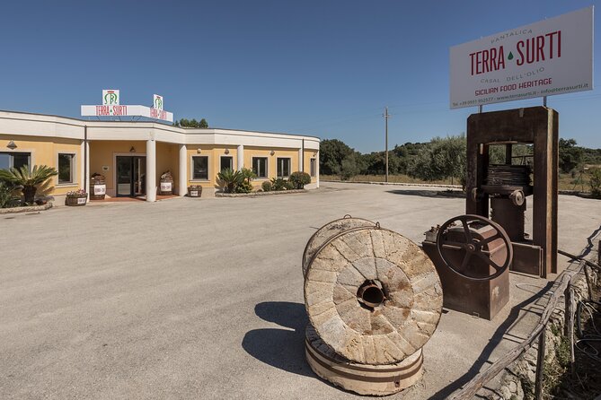 Visit to the olive grove, oil tasting and lunch at the farm - What the 2-hour format means for your day