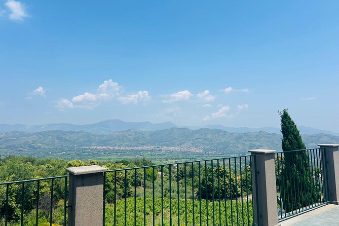 Volcano Etna Tour Wine Tasting Lunch in the Cellar Transfer - The Taormina return: how the day fits into your vacation