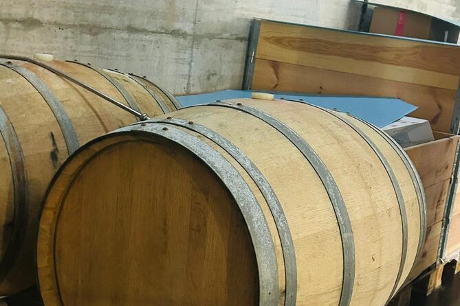 Volcano Etna Tour Wine Tasting Lunch in the Cellar Transfer - Mount Etna by Segway and cave access: the active part of the day