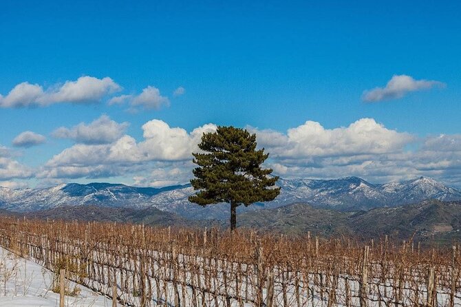 Wine Tasting Experience Etna Nord - Timing on the slope: when you can go and what the flow feels like