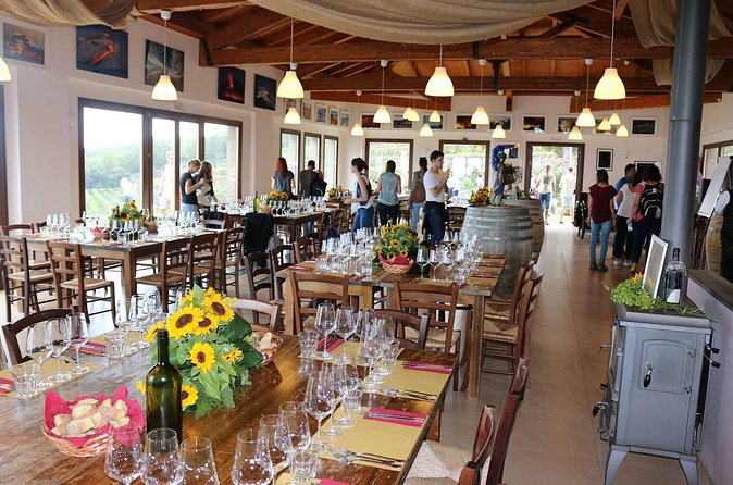 Wine Tasting Experience Etna Nord - Who Etna Nord is best for (and who might skip it)