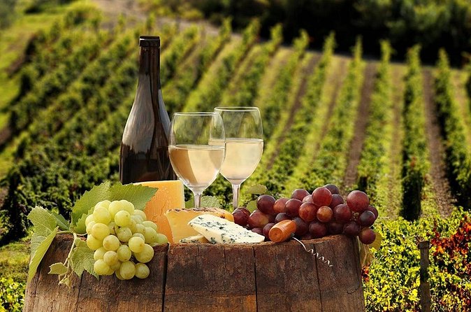 Wine Tasting Experience Etna Nord - Quick decision: should you book Etna Nord at Gambino?