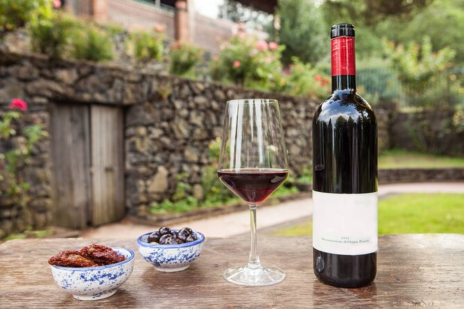 Wine Tasting Experience Etna Nord - Gambino Winery start: cellar visit and the white wine toast