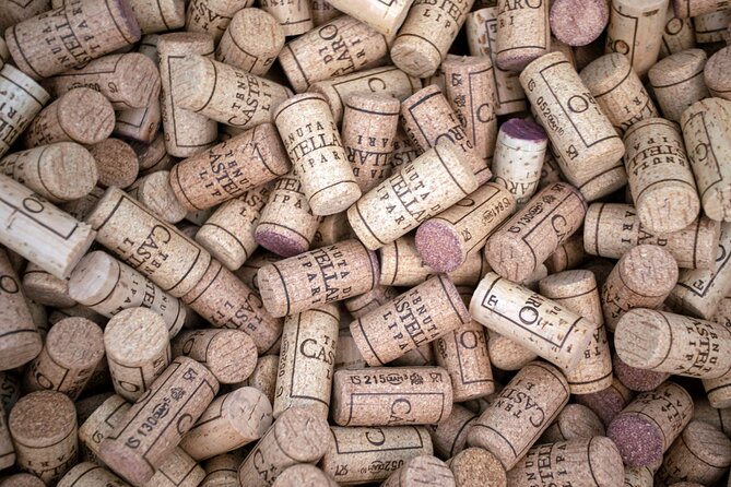 Wine tasting THE CLASSICS - How the 2-hour flow usually plays out on the estate