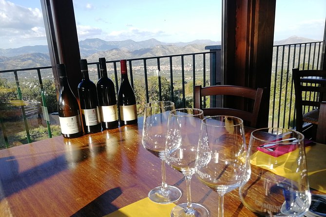 Wine Tasting Tour from Taormina - Gambino Winery: The guided cellar visit you’re paying for