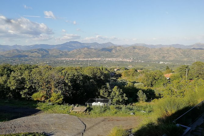 Wine Tasting Tour from Taormina - Mt Etna expectations: What the title can’t fully promise
