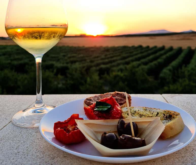 Wine tasting under the Stars in the vineyards of Agrigento - The Night Walk Among Vines and Olive Trees