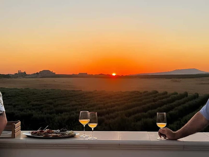 Wine tasting under the Stars in the vineyards of Agrigento - Tenute Camilleri Winery: How the Evening Gets Its Story