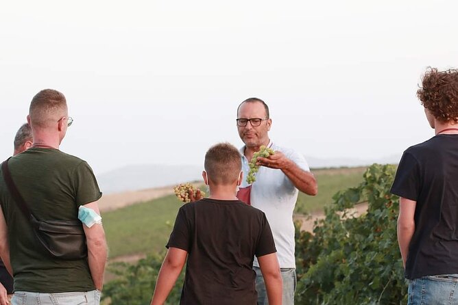 Wine Tour in the historic Baglio Florio Adamo with Lunch - 4 hours that start outside: agronomic walks you can actually enjoy