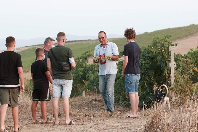 Wine Tour in the historic Baglio Florio Adamo with Lunch - Tastings of organic wines and estate olive oil, paired with garden-to-table flavors