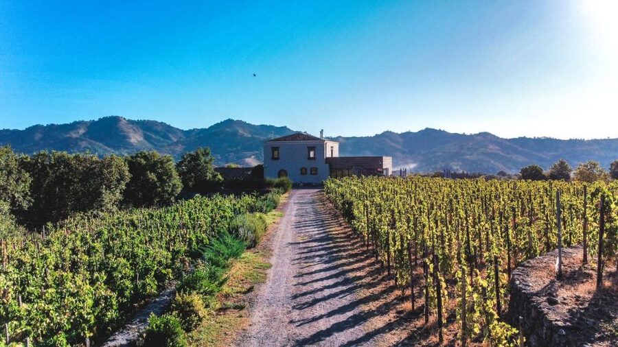 Wine tour with wine tasting - Key highlights to zero in on