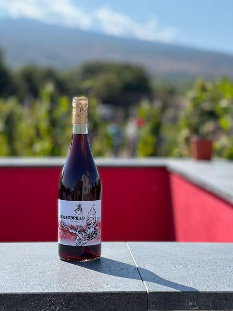Wine tour with wine tasting - Back to an Ancient Palmento: why this stop is more than scenery