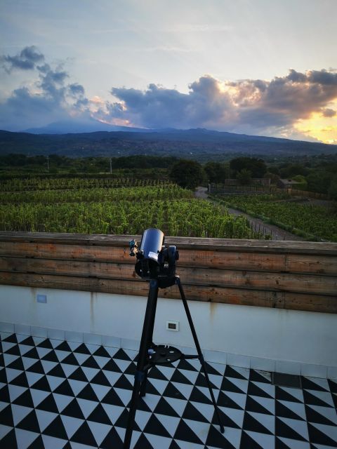 Wine tour with wine tasting - Technical Etna wine tasting: four wines, bread, and olive oil