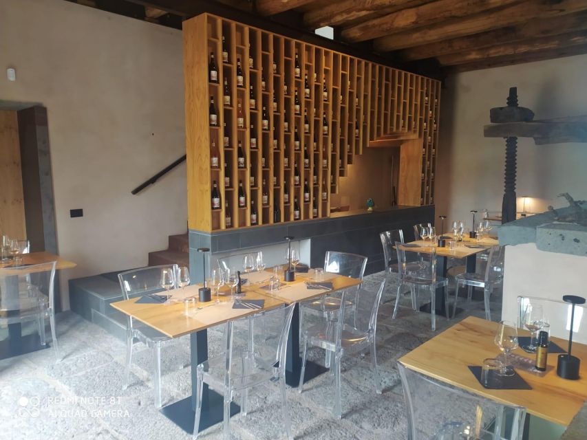 Wine tour with wine tasting - What makes the wines here distinct: sulfite-free style and spontaneous yeasts