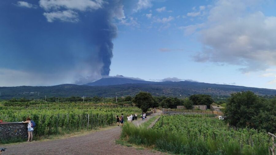 Wine tour with wine tasting - Price and value: $34 for 100 minutes of context