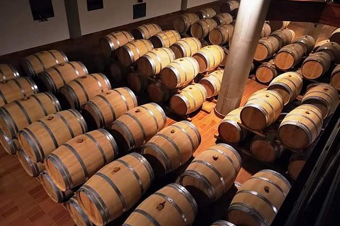 Winery tasting in Marsala and Mothia lagoon tour - Cantine Pellegrino: tasting Marsala where it’s made