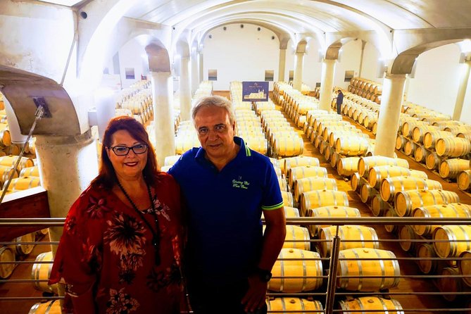 Winery tasting in Marsala and Mothia lagoon tour - The Mothia lagoon boat ride on a flat keel
