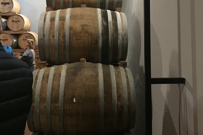 Winery tasting in Marsala and Mothia lagoon tour - Price and value: is $168.96 a good deal?