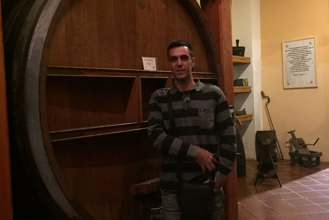 Winery tasting in Marsala and Mothia lagoon tour - Who this tour is for (and who might want something else)