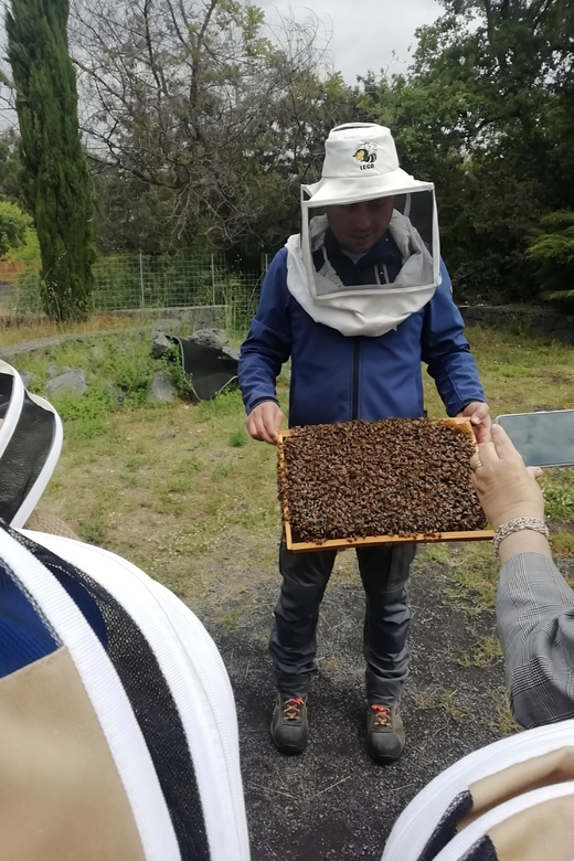 Zafferana Etnea:Honey extraction workshop and honey tasting - Honey Tasting With Cheese and Honey-Based Snacks