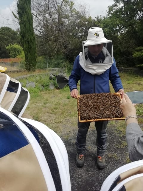 Zafferana Etnea:Honey extraction workshop and honey tasting - Why the Queen Bee Moment Feels Special